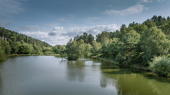 The woods and shoreline of the fishing lakes at Cannock Chase, AONB in Staffordshire.