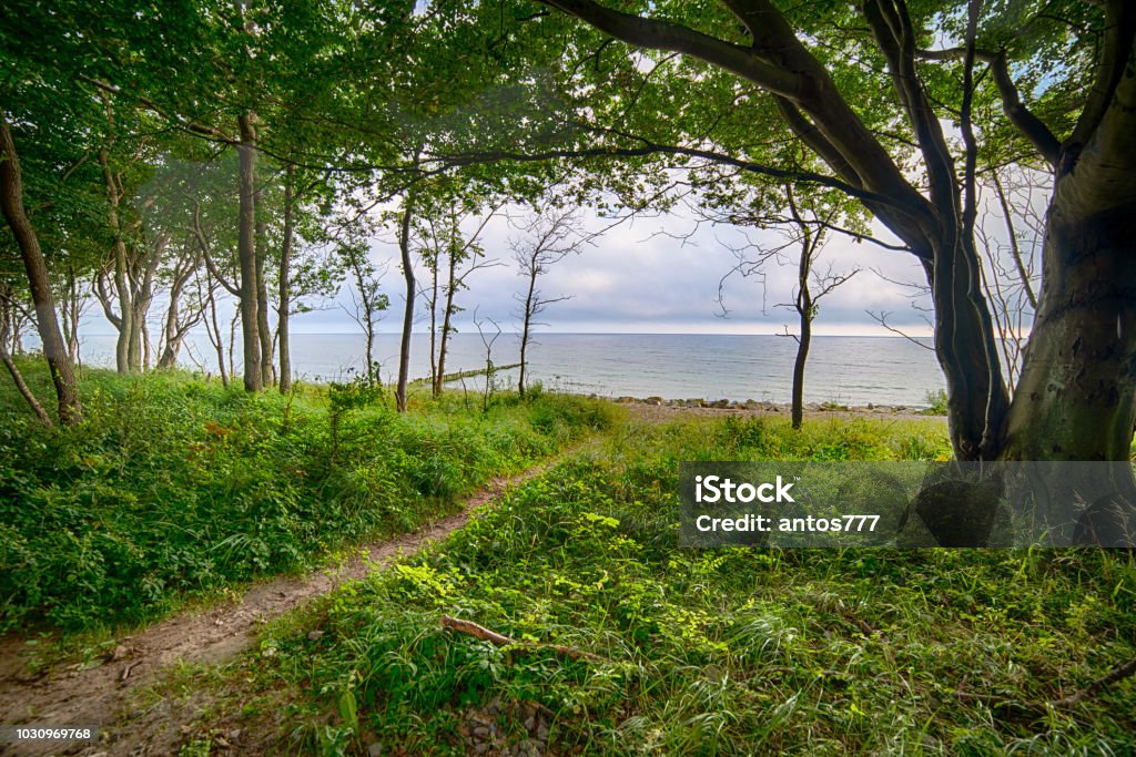 Phong Cảnh Biển Bãi Biển Cây Cối Hình ảnh Sẵn có - Tải xuống Hình ảnh Ngay  bây giờ - Ba Lan, Biển, Biển báo lối ra - iStock