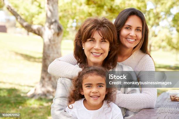 Three Generations Of Women At A Family Picnic In A Park Stock Photo - Download Image Now