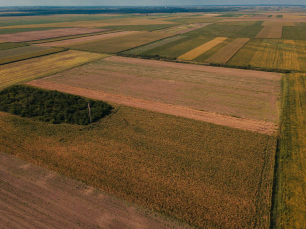 istock Drone photography of cultivated fields in summer 1030970242
