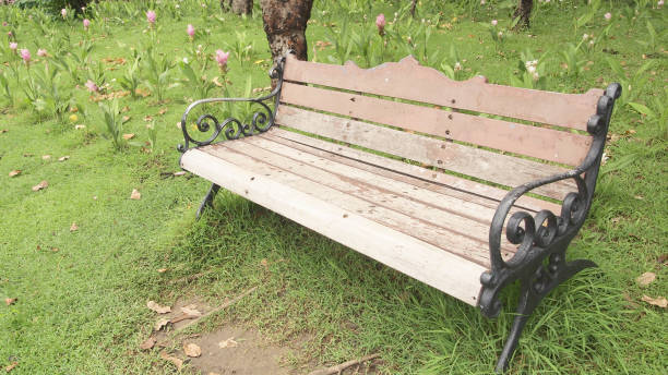 istock Old Wooden Bench in the garden 1030973076