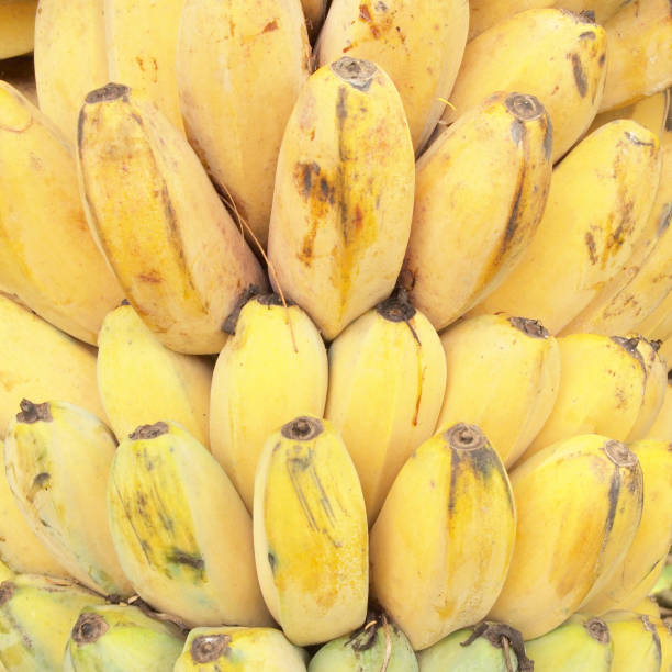 bananas fruits