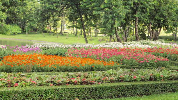 istock Background of Flowers Field 1030973334