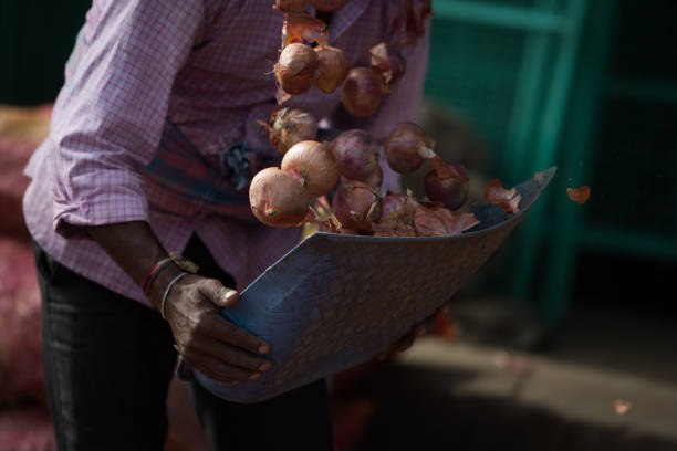 hand of man hold plastic tray with red onion and throw up this onion peel.