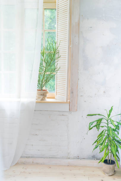 istock empty interior with a green tree and curtain on wooden window. Idea of a white empty scandinavian room interior with plant in vase on the wooden floor and brick wall 1030978950