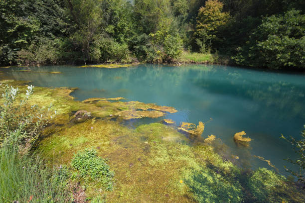 istock Beautiful turquoise color water pond 1030982866