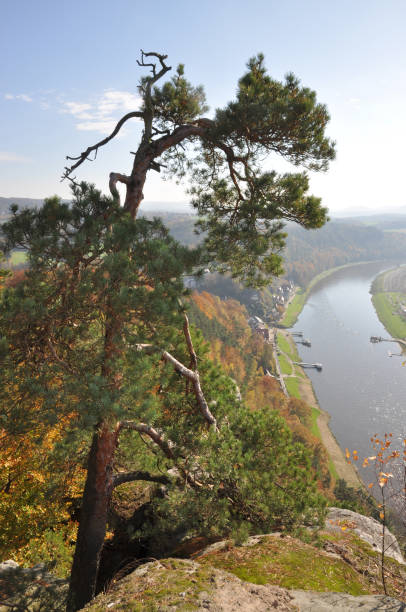 widok z bastei na łabę - elbe fluss zdjęcia i obrazy z banku zdjęć