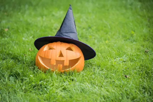 Photo of Halloween pumpkin wearing witch hat