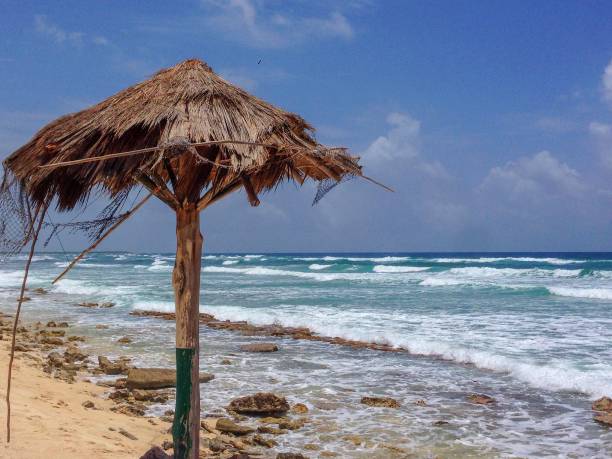 istock Beach at Cozumel in Mexico 1030998674
