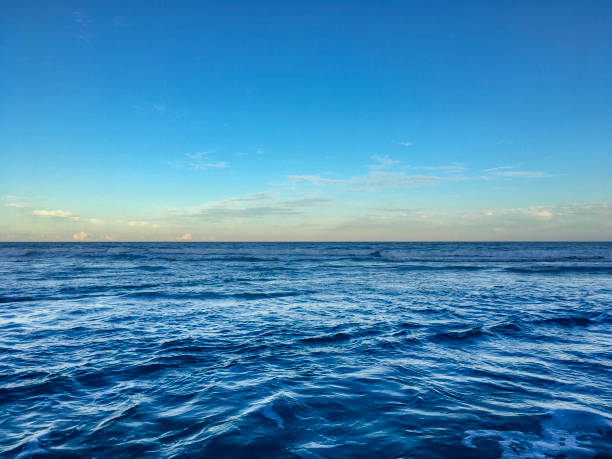 Point of view of someone leaving the ocean water after a batch in dramatic dusk light hours