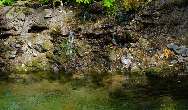 istock North Breitenbush Riverbank 1030999530