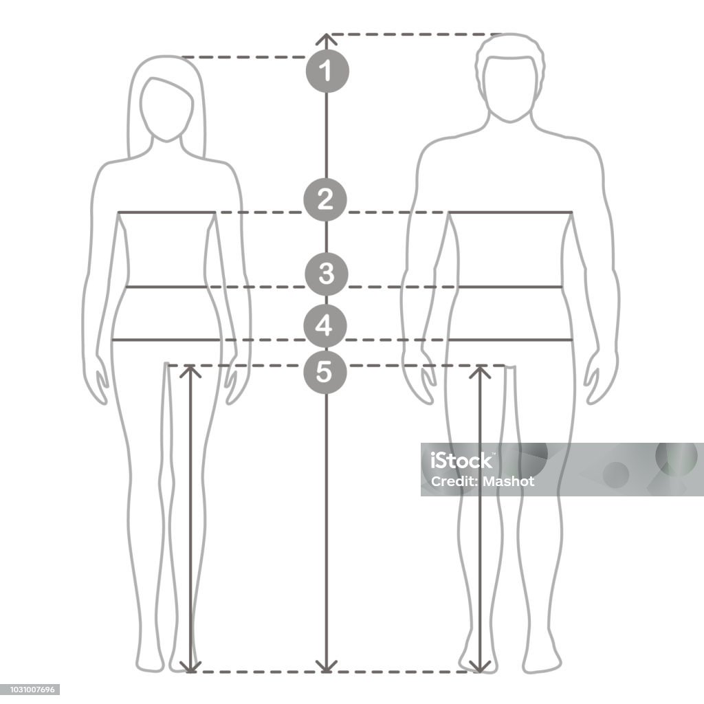 Ilustración de Medidas Tallas Hombre Y Mujer Las Medidas Del Cuerpo Humano  Y Proporciones y más Vectores Libres de Derechos de Cuerpo humano - iStock