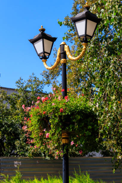 istock Street lantern decorated with geranium flowers in flowerpot 1031007880