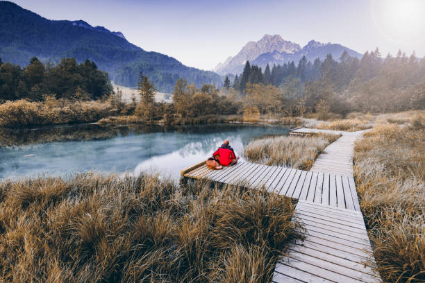 istock Active man and dog on camping at sunrise at fall 1031008244