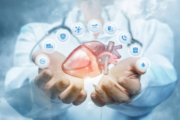 istock Doctor cardiologist shows a heart . 1031008448
