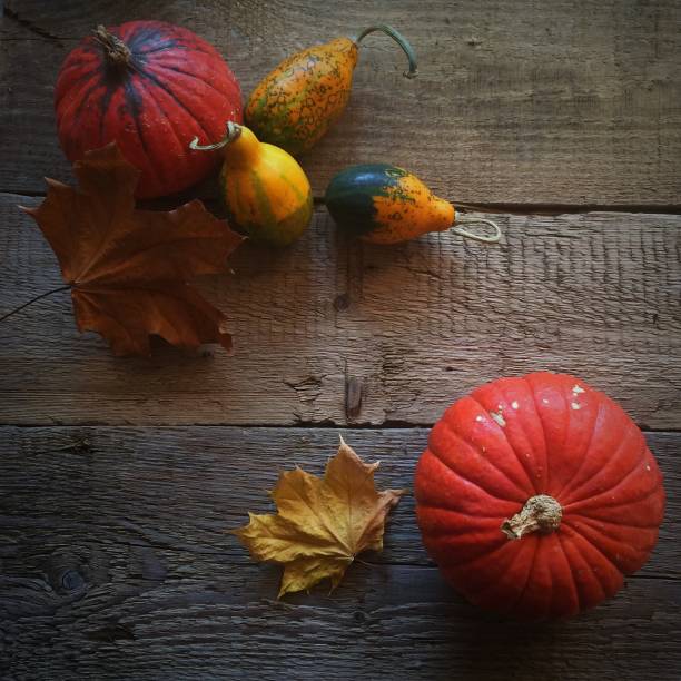 istock Autumn decor with pumpkins for Thanksgiving and Halloween 1031012604