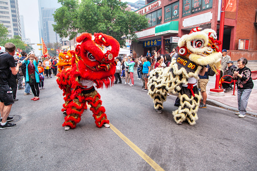 A crowd watching a Chinese lion dancing parade along Chinatown in Calgary, Alberta, Canada, in celebration of Chinese festivities.