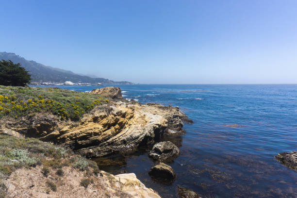 край побережья калифорнии - point lobos state reserve big sur california beach стоковые фото и изображения