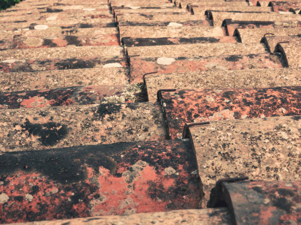 istock Pattern of old red tiles closeup on roof 1031018520