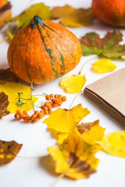 istock Hello, Autumn. Orange pumpkins Notepad Autumn foliage on a white background Close up 1031022284