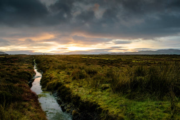 Bog Lands This is an bog on a mountain in Donegal Ireland at sunset. bog stock pictures, royalty-free photos & images