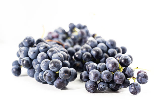 istock Raw dark grapes isolated on white background. Autumn abstractions. 1031033522