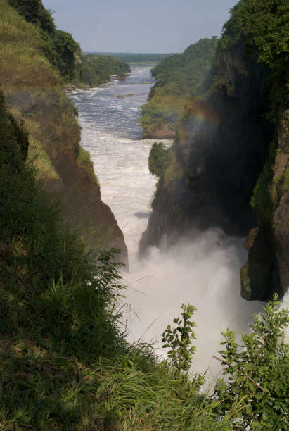 istock Spectacular Waterfall at Murchison Falls, River Nile, Uganda 1031037898