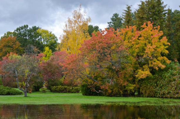 istock Kemeri Landscape Park in autumn, Latvia 1031038650