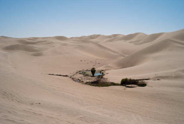 водоем в пустыне, уакачина, перу - car beach peru adventure стоковые фото и изображения