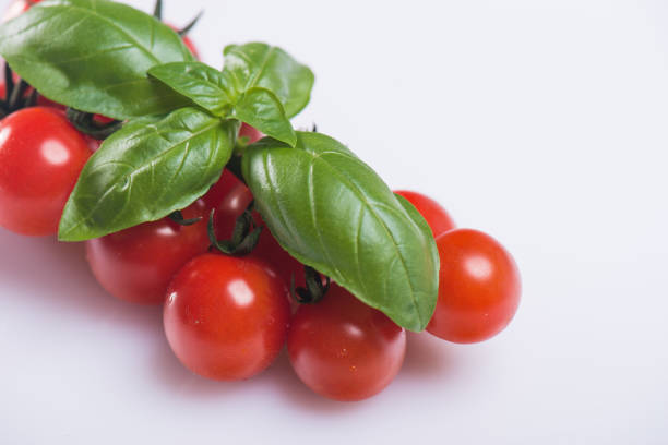 Italian IGP Tomatoes. Pachino Cherry tomatoes variety.