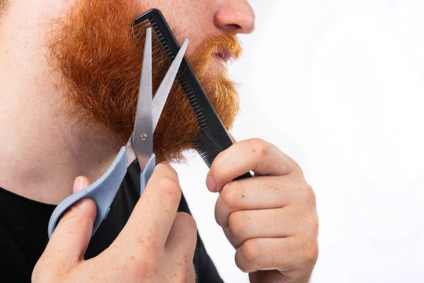 istock Crop man in closeup cutting ginger beard with scissors and comb by himself on white background 1031042772