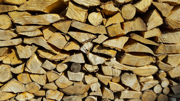 istock Wooden logs  for firewood 1031049168