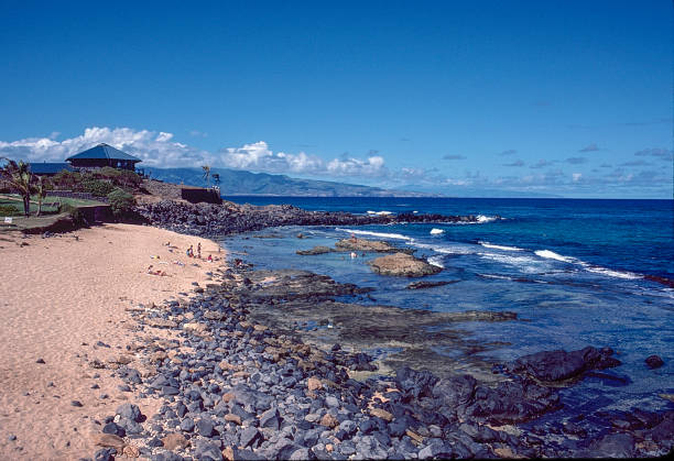 istock Tourists on Maui's Rocky Beach 1031049426