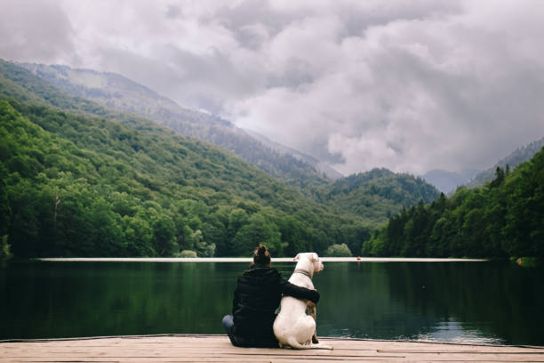 mulher sentada com um cão doca no lago - 3686 - fotografias e filmes do acervo