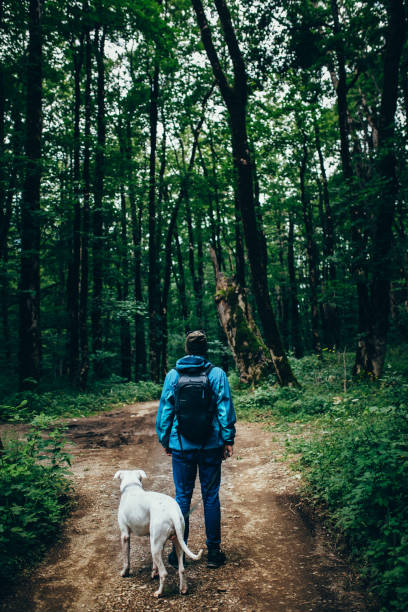 istock Man with a dog in the forest 1031058950