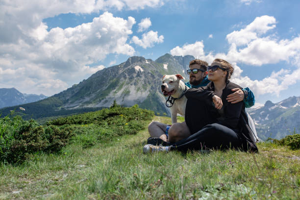 casal com cachorro sentado na grama - 3686 - fotografias e filmes do acervo