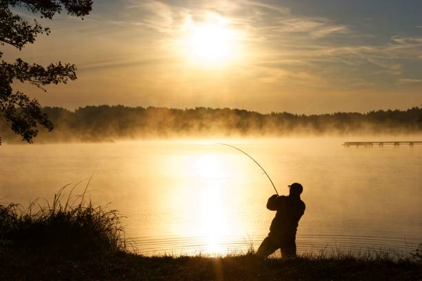 Angler Silhouette of fisherman standing in a lake and catching the fish during foggy sunrise fisherman stock pictures, royalty-free photos & images