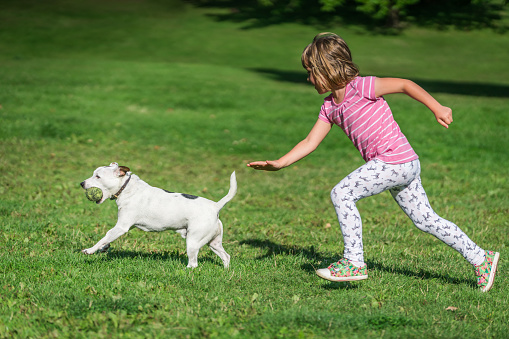 Portrait of a young caucasian girl chasing small dog who caught tennis ball