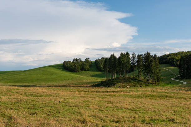 istock Val Lastari - Conco - Asiago Plateau 1031070972