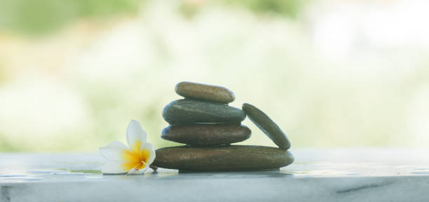 istock spa tropical flower and stones for massage treatment outdoors with sunlight 1031071012