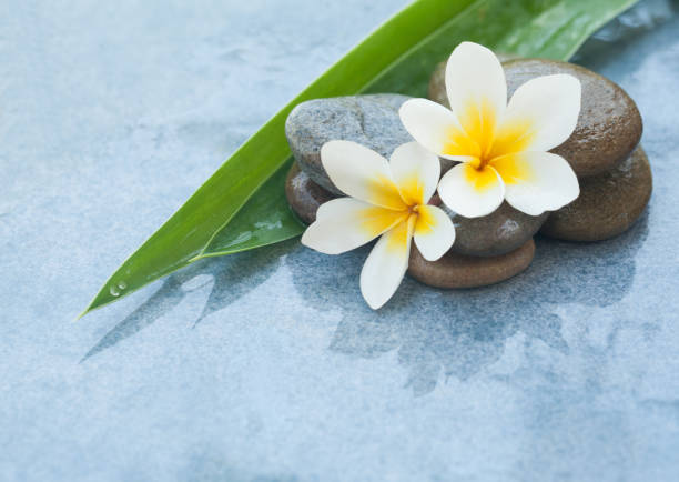 istock spa tropical Flowers and stones for relax room 1031071320