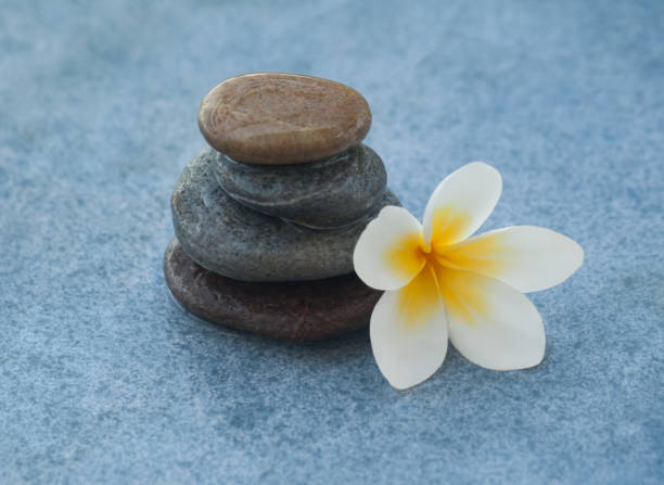 istock Flower and stones on blue table background. 1031071366