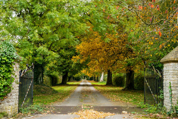 istock Lovely park  at autumn season 1031083816