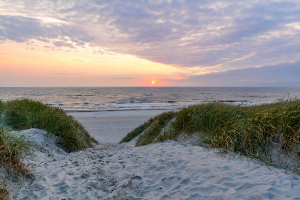 sonnenuntergang am strand mit sand dünenlandschaft in der nähe von henne strand, jütland dänemark - esbjerg stock-fotos und bilder