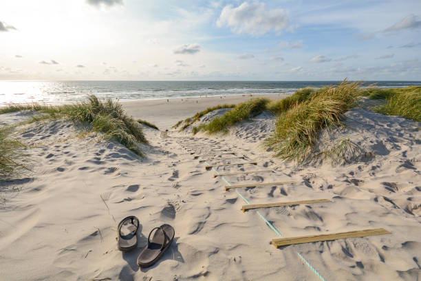 blick auf die wunderschöne landschaft mit strand und dünen in der nähe von henne strand, jütland dänemark - salzwasser sandalen stock-fotos und bilder