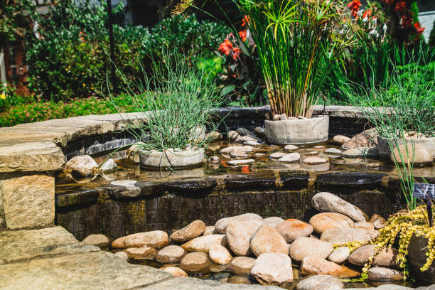 istock Cascading Water in Garden 1031087086