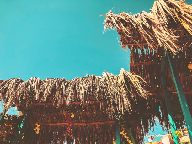 istock Beach cafe exterior. Seashore bar roof background. 1031090766