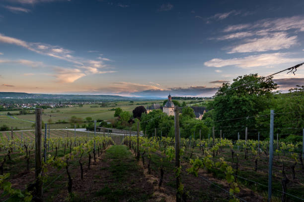 istock Sunset at the Schloss Vollrads 1031094670