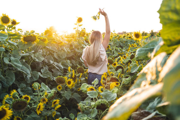 istock happy woman in sunflower field 1031094736
