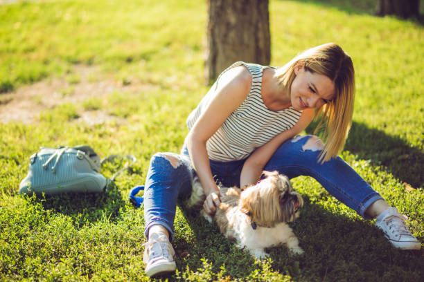 istock Woman playing with dog in public park 1031099476